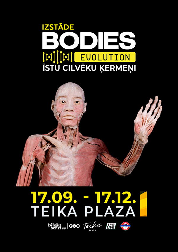 Bodies
