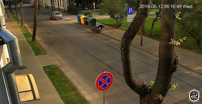 Motociklists
