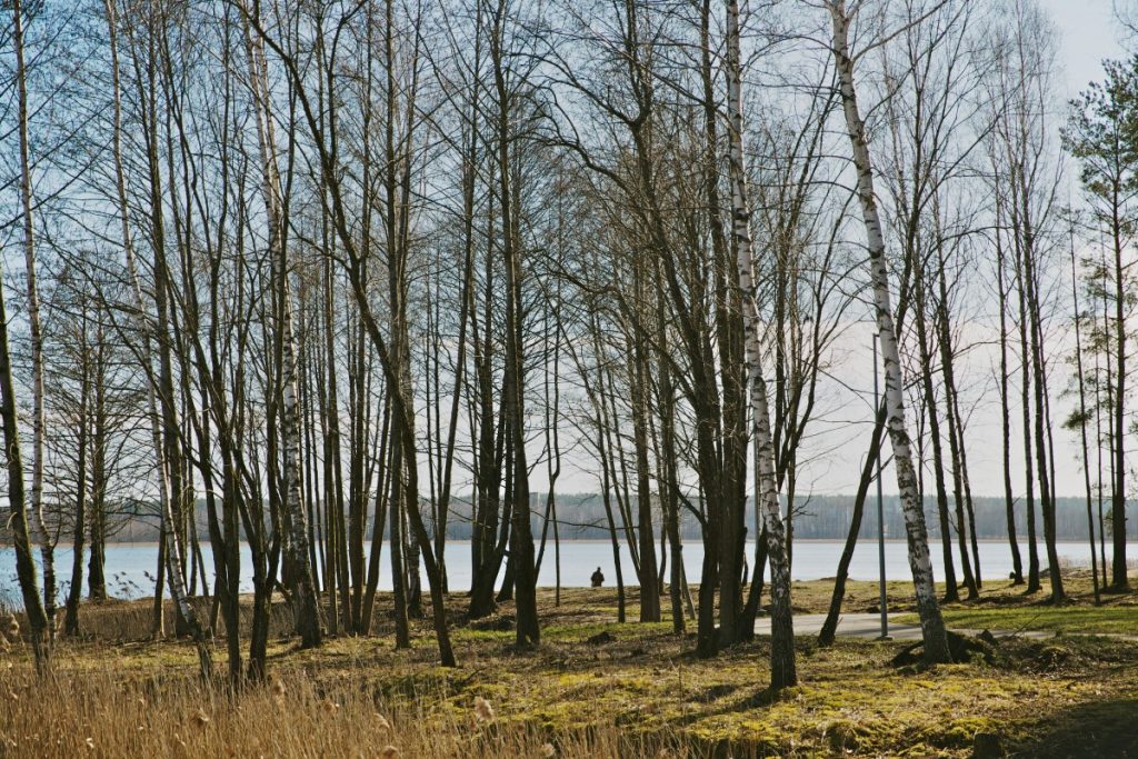 20 марта 2020 года. Даугавпилс, Стропской лес. Фото: Ирина Маскаленко