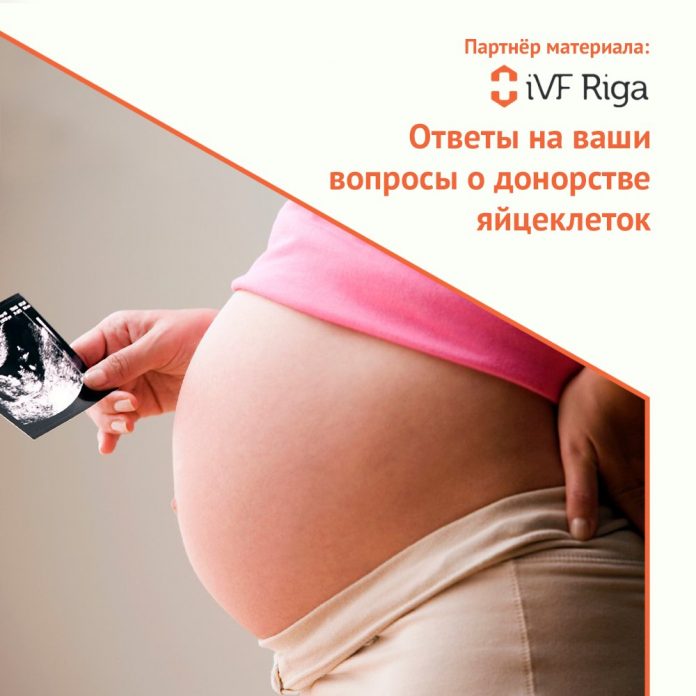 Доктора клиники iVF Riga ответили на ваши вопросы о донорстве яйцеклеток