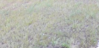 Открытый люк на улице Веселибас (Здоровья) в Даугавпилсе. Фото читательницы "Чайки"