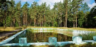 Бывший открытый бассейн в Стропах. 8 июля 2020 года. Фото: Ирина Маскаленко