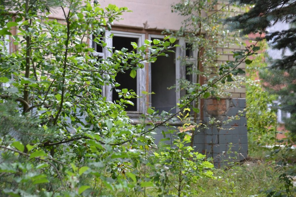 Заброшенное здание по ул. 18 Ноября, 391 в Даугавпилсе. 8 августа 2020 года. Фото: Елена Иванцова