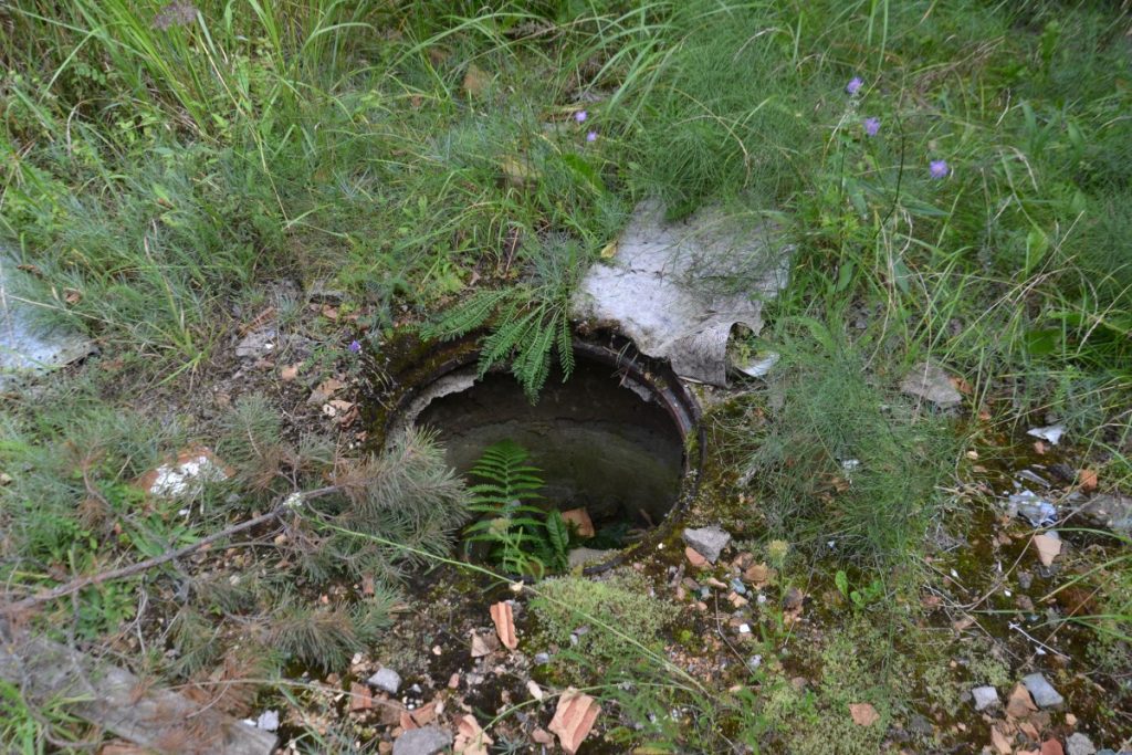 Заброшенное здание по ул. 18 Ноября, 391 в Даугавпилсе. 8 августа 2020 года. Фото: Елена Иванцова