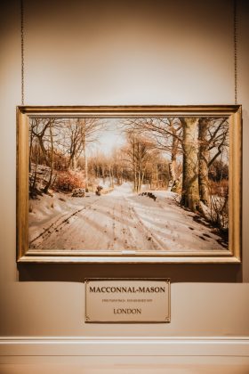 Запоминающиеся мероприятия 2019 из жизни фотографа Ирины Маскаленко. Фотоистория