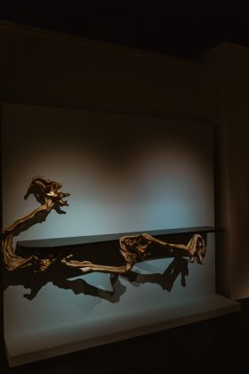Запоминающиеся мероприятия 2019 из жизни фотографа Ирины Маскаленко. Фотоистория
