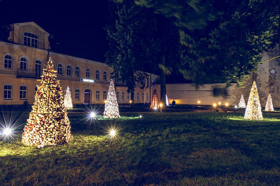 Фото: PIKC DDMV Saules skola