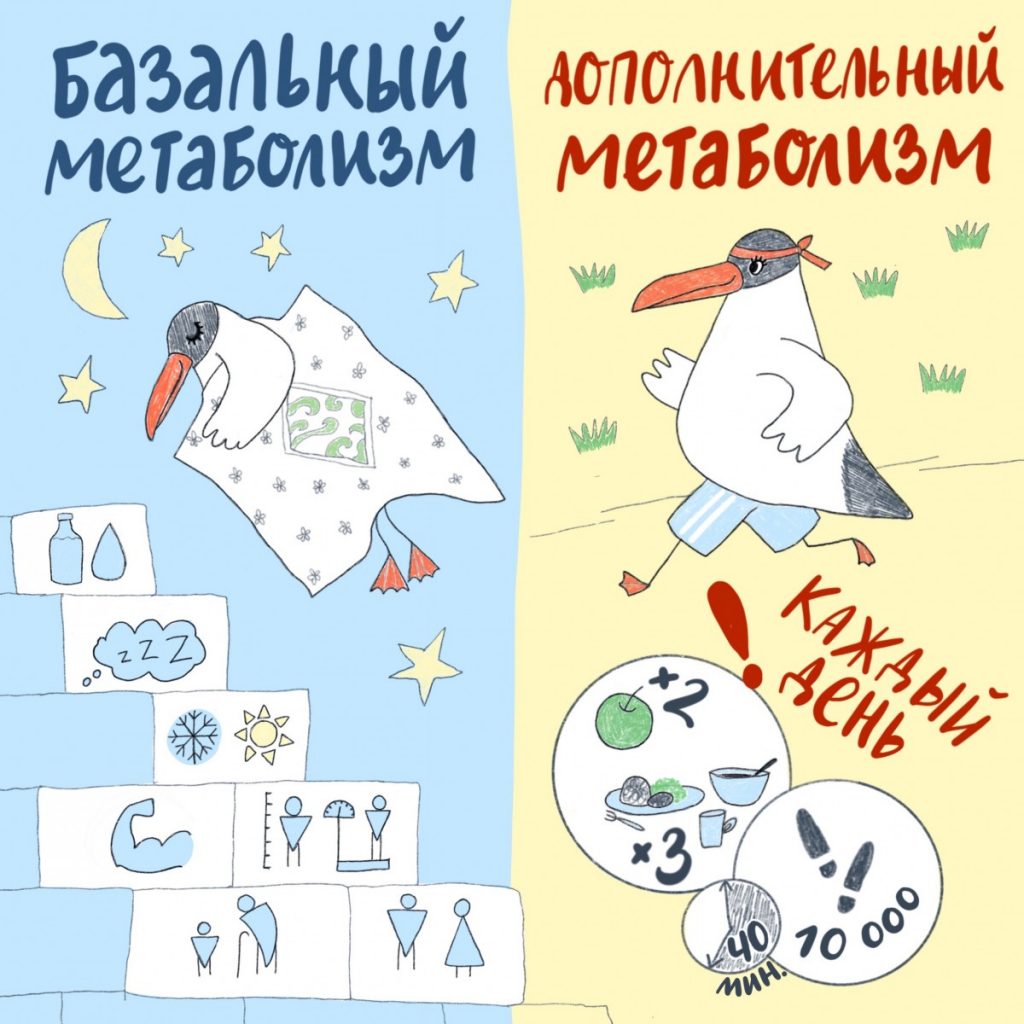 Рисунок Ольги Фишер