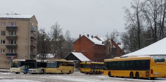автобусы