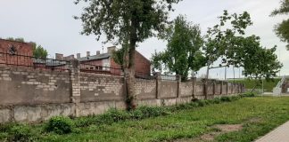 Жасмины на Лачплеша: кусты срубили, страшный забор оголили Так теперь выглядит место, где когда-то благоухали кусты жасмина. Май 2021 года. Фото: Елена Чурсина