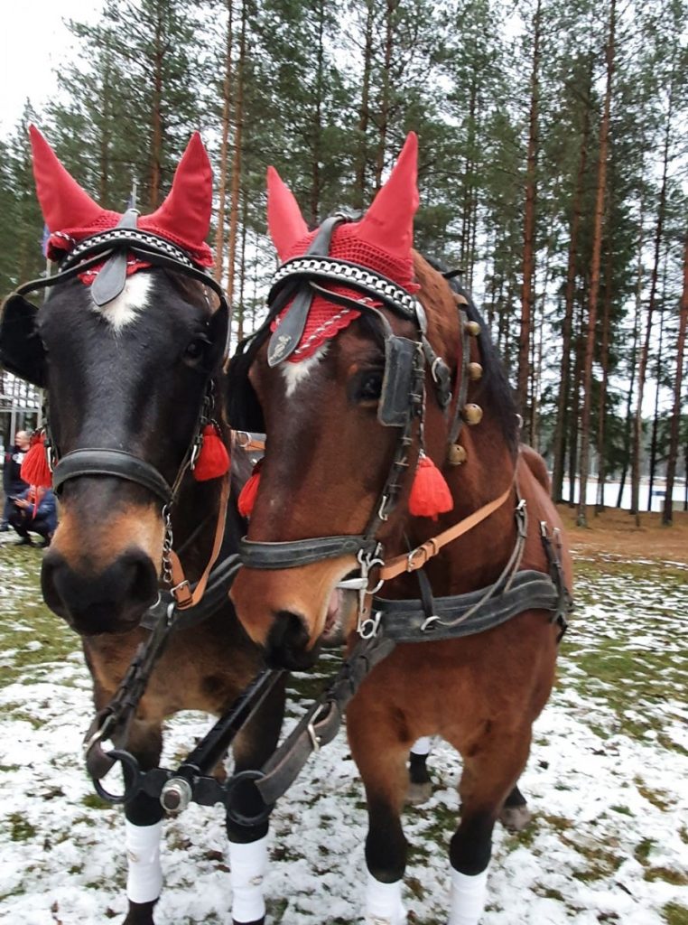 Конный двор Klajumi. Фото со страницы Ilze Stabulniece на фейсбуке