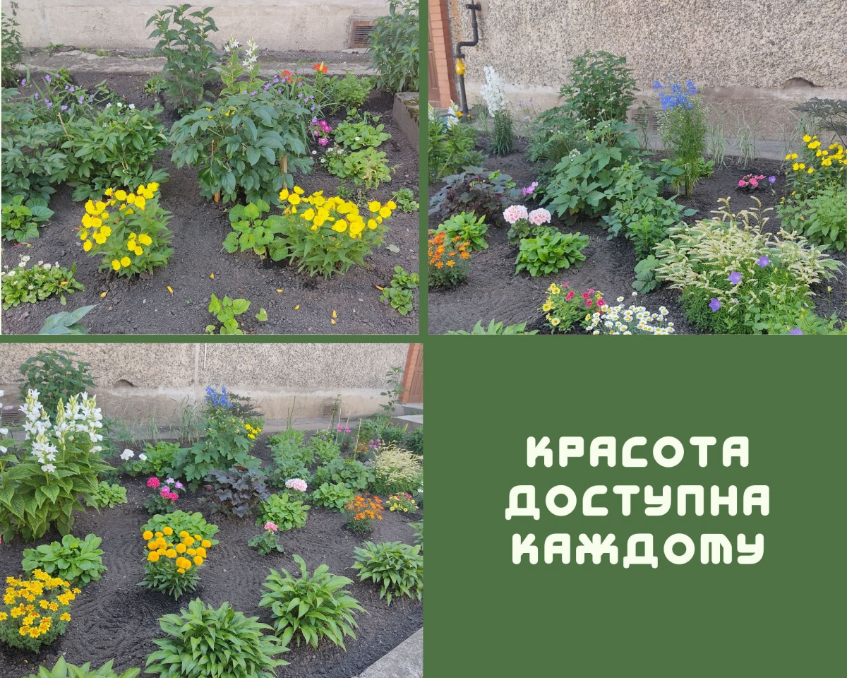 Коллаж из фотографий, сделанных на клумбе у дома по адресу ул. Страдниеку, 99 в Даугавпилсе. Автор: Валентина Зиновьева