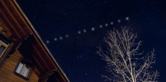 Starlink