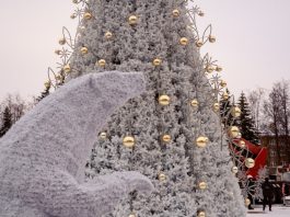 Горожан и гостей Даугавпилса приглашают участвовать в фотоконкурсе ёлка на Виенибас