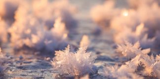"Ледяные цветы". Иллюстративное изображение: Christophe Brutel/Flickr