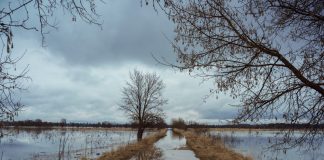 Паводок в Даугавпилсе: в городе действует «оранжевое» предупреждение (обновлено) Затопленная дорога в Нидеркунах. 5 апреля 2023 года. Фото: Виола Олейникова
