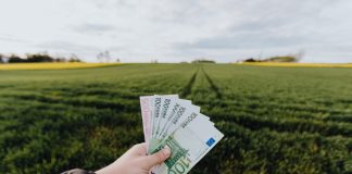 Одним из главных минусов жители латвийских городов считают финансовое положение домохозяйств. Иллюстративное фото: Karolina Grabowska/Pexels