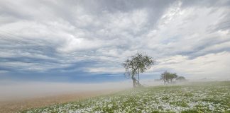 Град, выпавший в Аннениеки