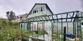 Какую помощь могут получить пострадавшие от бури даугавпилчане? Последствия бури 7 августа 2023 года в Аугшдаугавской волости. Фото: augsdaugavasnovads.lv