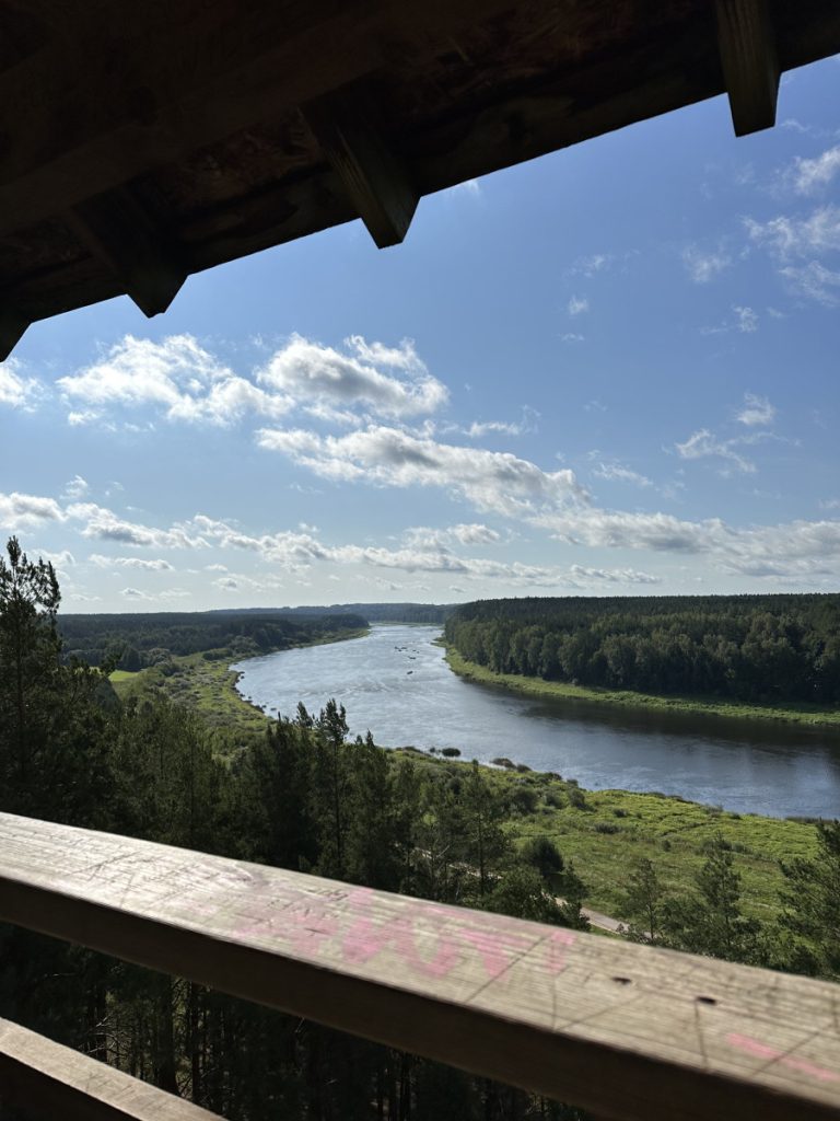 Вид со смотровой вышки в Васаргелишках. Фото: Анастасия Шубина