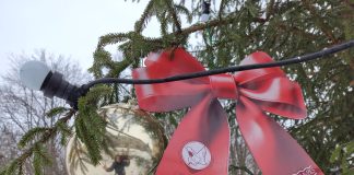 Красный бантик, созданный Cita Daugavpils на ёлке одного из районов Даугавпилса. Фото: активистов из WhatsApp-чата Daugavpils apkaimes