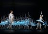 Сцена из «Лебединого озера». Фото: Latvijas Nacionālā opera un balets