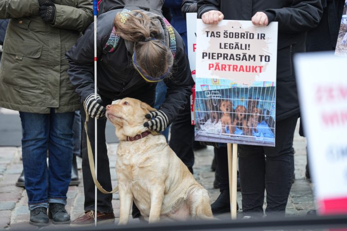 Пока Сейм принимал поправки, у здания Сейма протестовали организации по защите животных с лозунгом «Требуем контроля заводчиков!». 14 марта 2024 года. Фото: Reinis Inkēns / Saeima Пока Сейм принимал поправки, у здания Сейма протестовали организации по защите животных с лозунгом «Требуем контроля заводчиков!». 14 марта 2024 года. Фото: Reinis Inkēns / Saeima