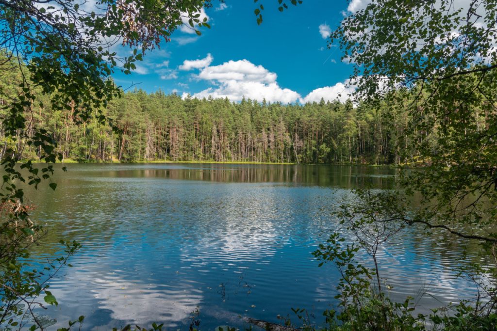 Велнезерс (Черток)/ Средневековые руины Лудзы. Фото: Canva