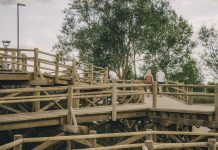 Болотная тропа на Эспланаде в Даугавпилсе. 3 августа 2024 года. Фото: Евгений Ратков