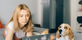 Мессенджер и сервис видеозвонков Skype с мая 2025 года будет недоступен. Иллюстративное фото: Наталия Вайткевич / pexels.com