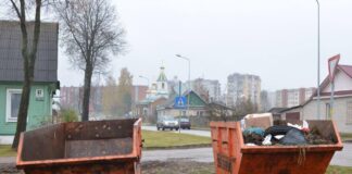 Контейнер для сбора зелёной массы в Даугавпилсе. Ноябрь 2017 года. Фото: daugavpils.lv