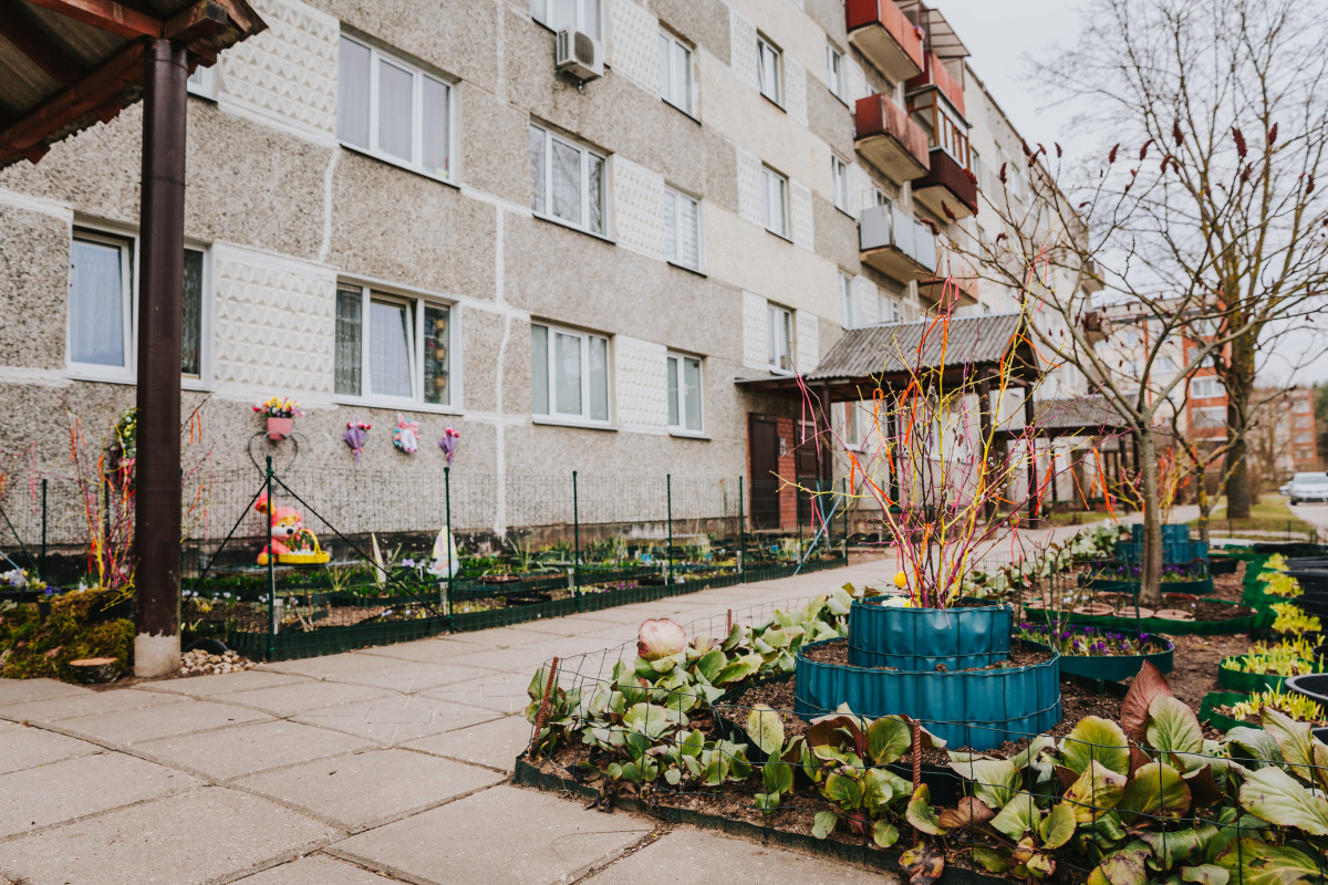Клумба у дома по адресу ул. Телтс, 4 в Даугавпилсе. 28 марта 2025 года. Фото: Ирина Маскаленко