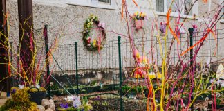 Клумба у дома по адресу ул. Телтс, 4 в Даугавпилсе. 28 марта 2025 года. Фото: Ирина Маскаленко