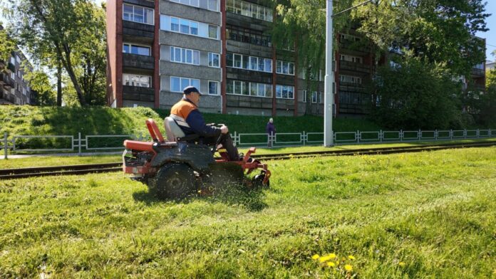 трава Сотрудник Labiekārtošana-D косит траву на Новом Строении в Даугавпилсе. Фото: Управление коммунального хозяйства