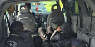 С начала этого года в Латвии началто 63 уголовных процесса за незаконную перевозку мигрантов или содействие их нелегальному пребыванию в Латвии. Последний такой случай произошёл 25 июля в Свентской волости Аугшдаугавского края. Фото: Valsts robežsardze