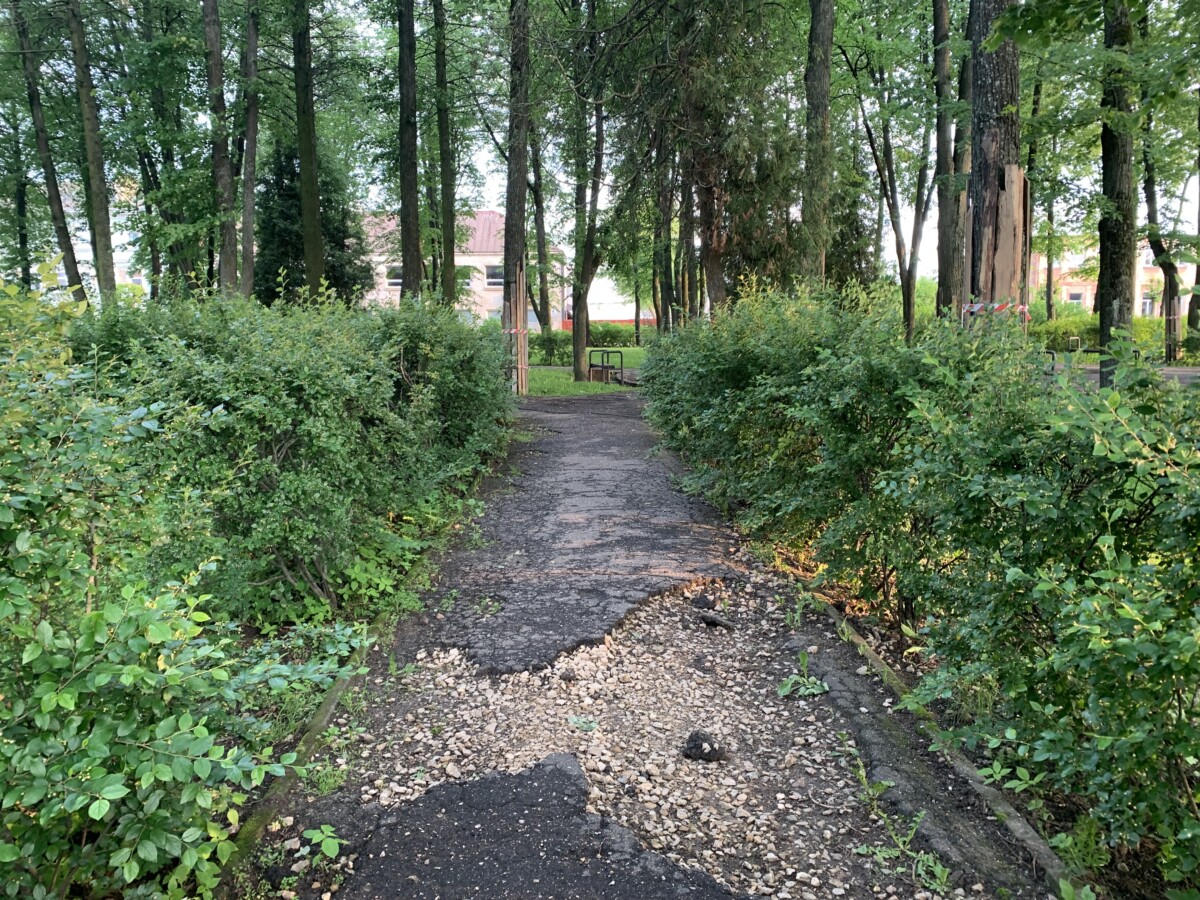 Сквер в микрорайоне Гаёк в Даугавпилсе. 2 июня 2025 года. Фото: Эвелина Майбогина