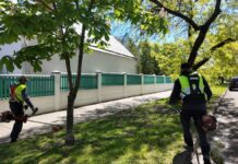 Покос травы в Даугавпилсе на Новом Строении, около старообрядческого храма на улице Пушкина, 16А. Фото: Управление коммунального хозяйства