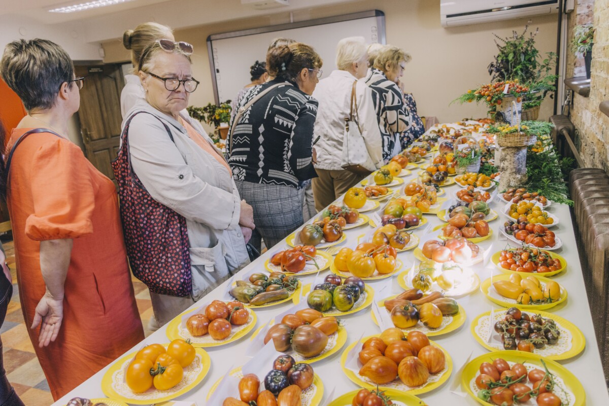 На выставке томатов в Даугавпилсском краеведческом и художественном музее. 22 августа 2025 года. Фото: Евгений Ратков