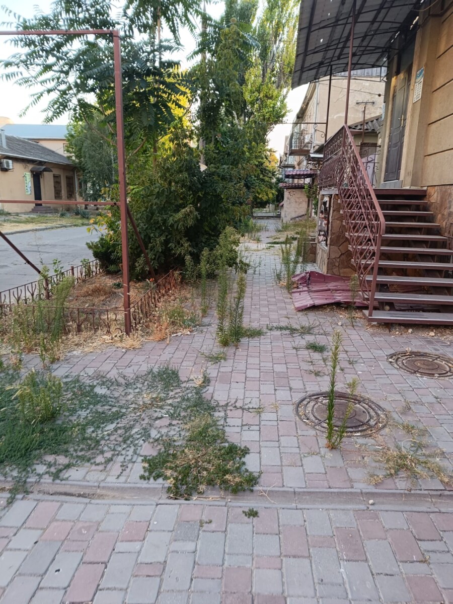 Херсон, Украина. 22 августа 2025 года. Фото из личного архива