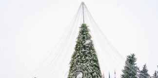 Рождественская ёлка в Даугавпилсе. Она оформлена в стиле сказки «Маленький принц». 24 ноября 2025 года. Фото: daugavpils.lv