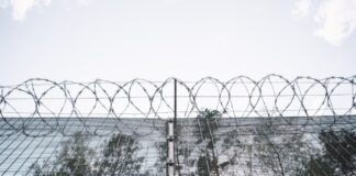 Забор на границе Латвии с Россией. Фото: Iekšlietu ministrija