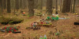 Стихийное кладбище домашних животных в Даугавпилсе. Фото: Сергей Кузнецов (январь 2025 года )
