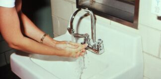 Иллюстративное изображение: CDC / pexels.com