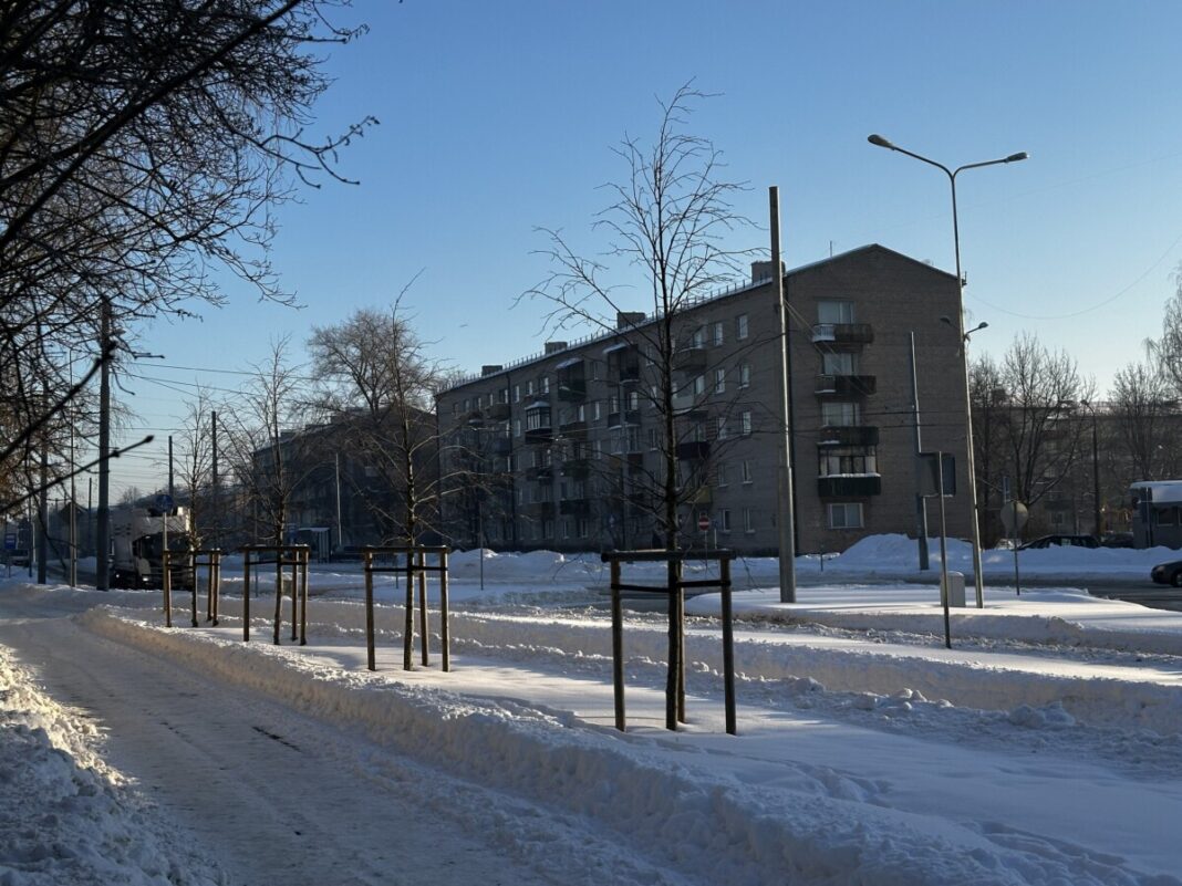 Заснеженная «ближняя» Химия. 2 февраля 2026 года. Фото: Анастасия Шубина
