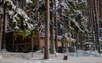 База отдыха Virogna: ваша версия зимней сказки. Партнёрский материал База отдыха Virogna. Фото: Анжела Спиридонова