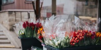 Продажа тюльпанов в Даугавпилсе утром 8 марта 2024 года. Фото: Ирина Маскаленко