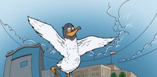 "Чайка" рада сообщить: мы создали на нашем сайте новый инструмент для удобства читателей. Теперь можно увеличить шрифт или выбрать приятную для себя цветовую схему. Иллюстративное изображение: Эгонс Кивкуцанс