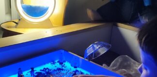 Фото со страницы Saules Ligzda на Фейсбуке
