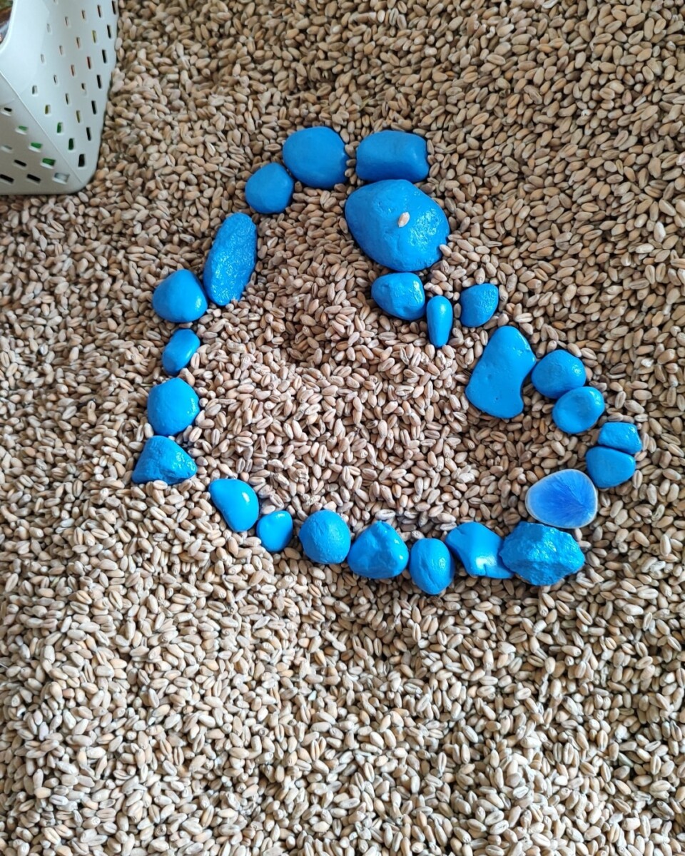 Фото со страницы Saules Ligzda на Фейсбуке