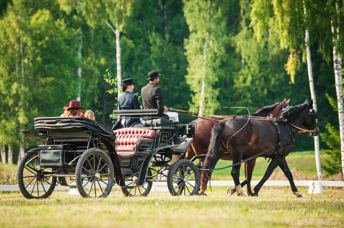 Конный двор "Клаюми". Фото: latgale.travel/listing/klajumi/